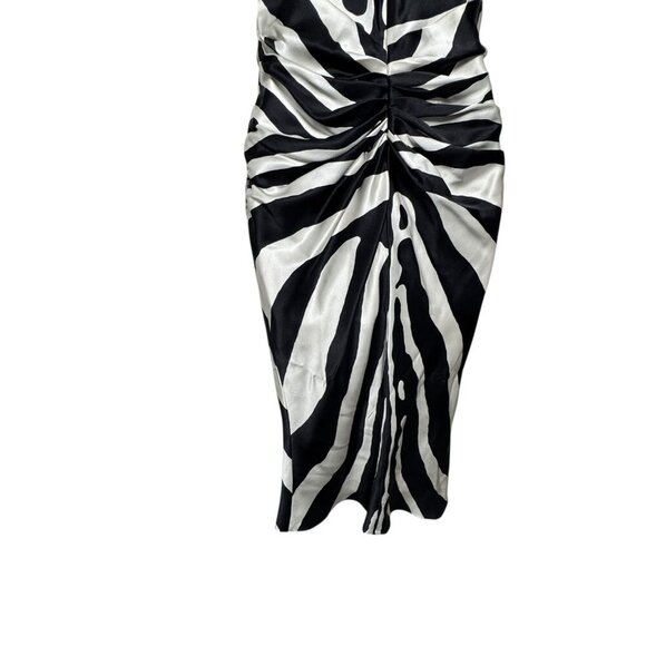 Dior designed by Galliano Black & White silk zebra print midi dress 2008 Size 2 - Picture 7 of 13